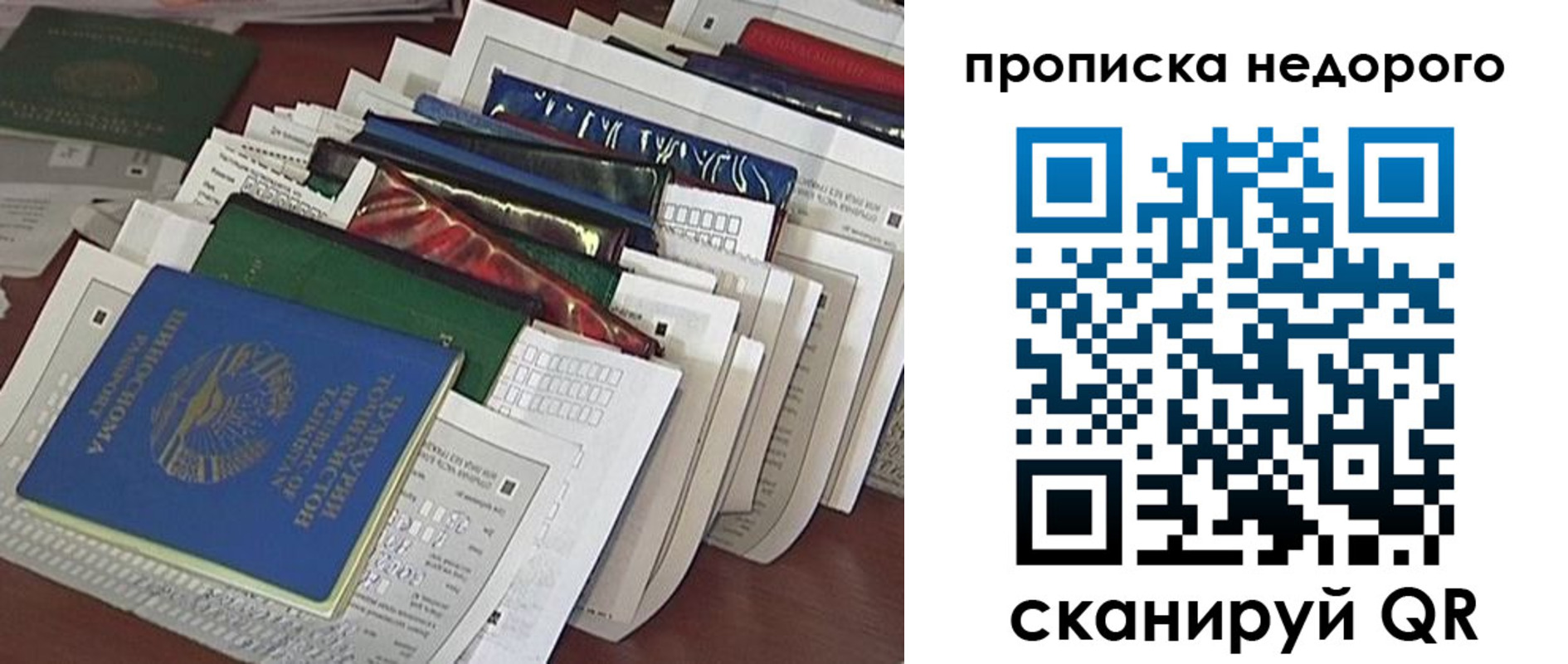 прописка гарантия в Малой Вишере